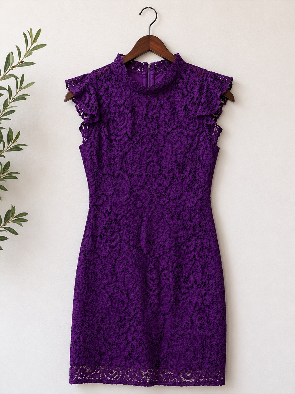NWT ALEXIA ADMOR Purple Lace Dress Cap Sleeve Above Knee Party Cocktail Women's - Picture 3 of 14